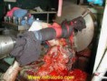 /album/fotos1/imagescam5st5n-jpg/